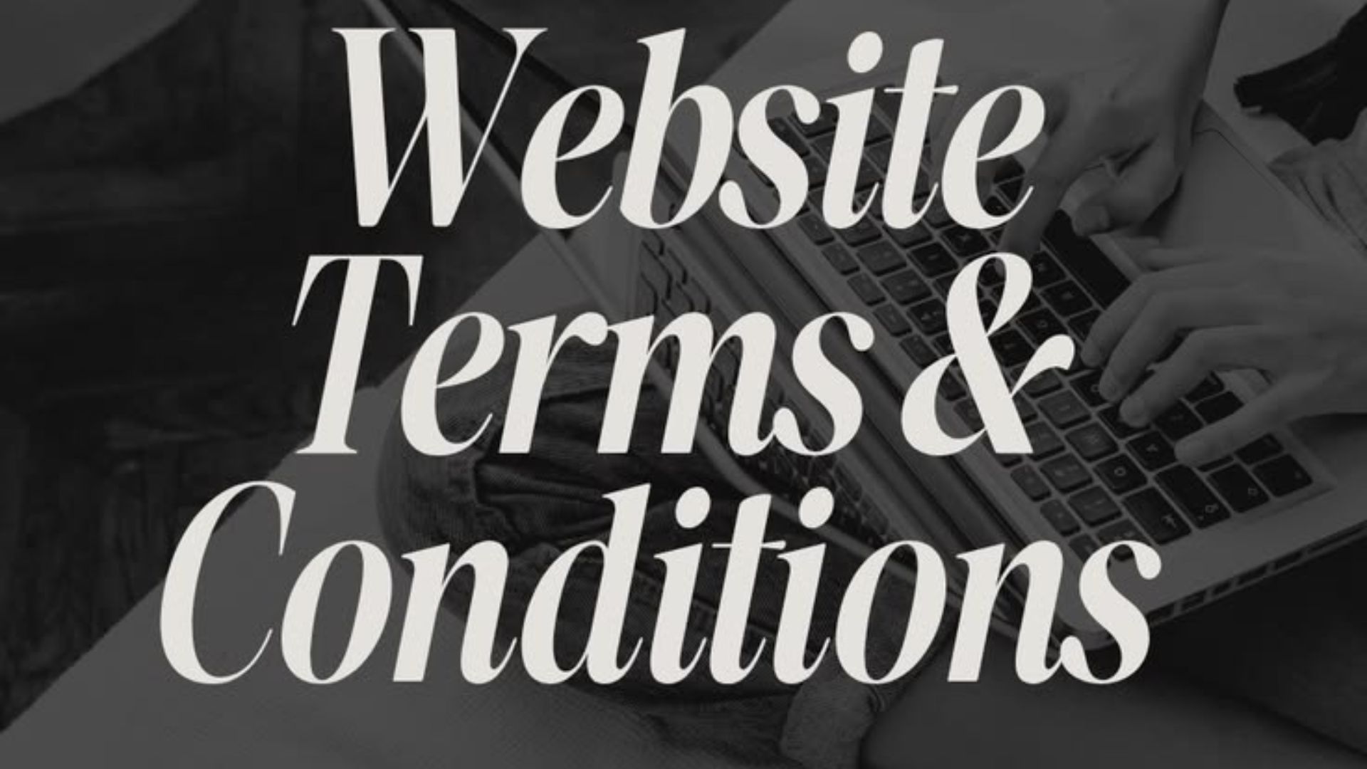 Terms and Conditions DemStore Political & Election Services